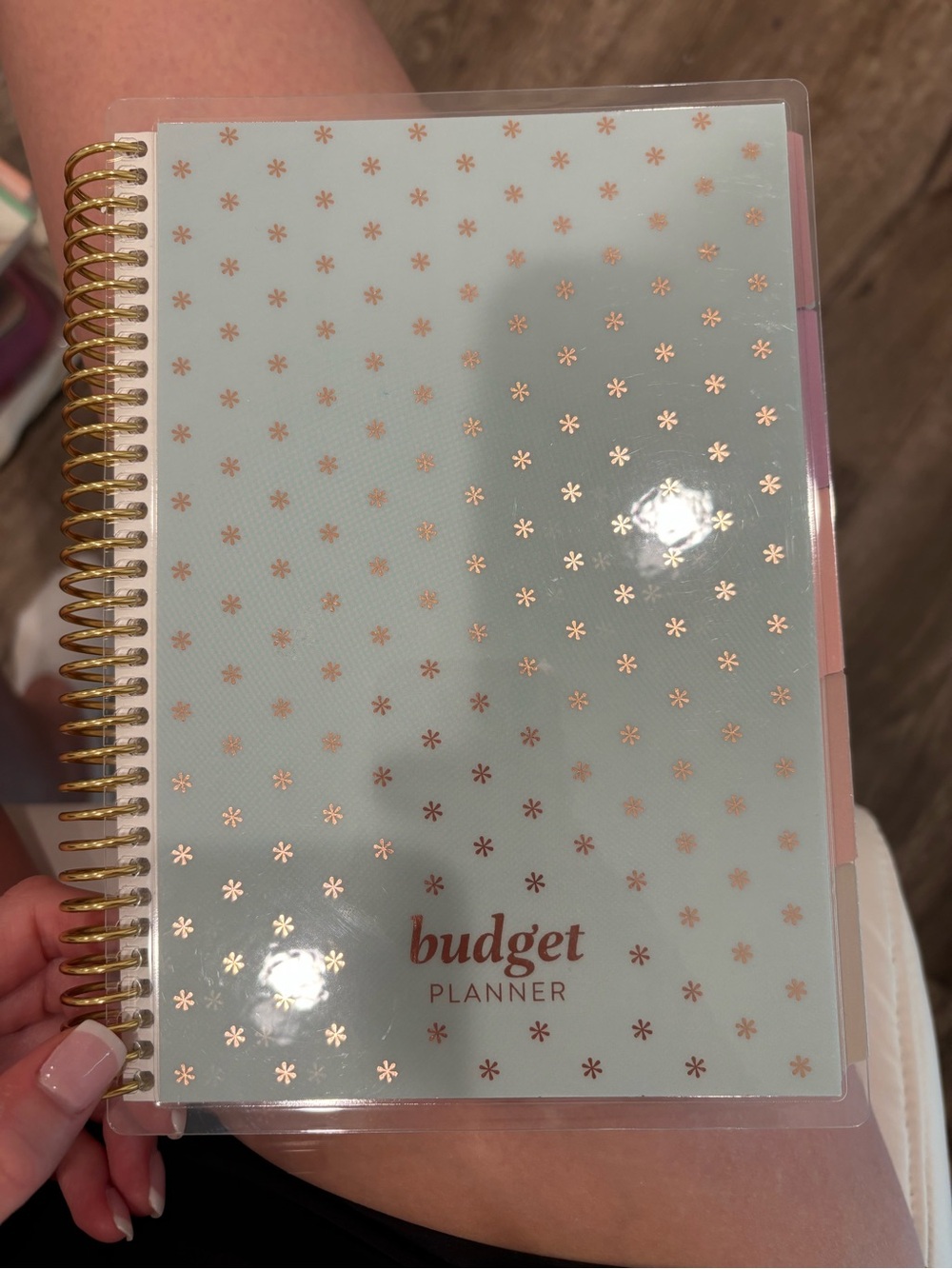 Erin Condren Budget Planner